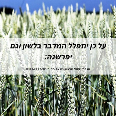 Picture 06 - אגרת שאול הראשונה אל הקורינתים 14:13 HEB - על כן יתפלל המדבר בלשון וגם - Bible Verse Picture