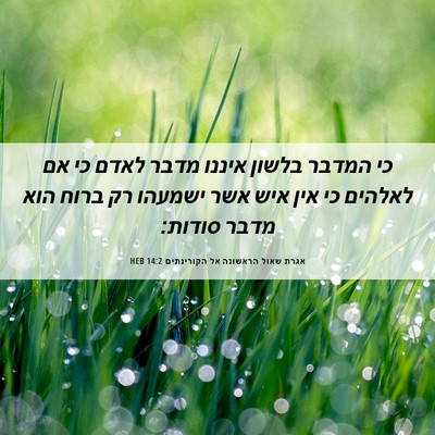 Picture 06 - אגרת שאול הראשונה אל הקורינתים 14:2 HEB - כי המדבר בלשון איננו מדבר - Bible Verse Picture