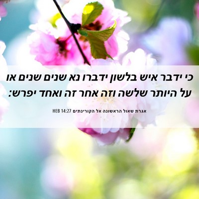 Picture 06 - אגרת שאול הראשונה אל הקורינתים 14:27 HEB - כי ידבר איש בלשון ידברו נא - Bible Verse Picture