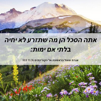 Picture 06 - אגרת שאול הראשונה אל הקורינתים 15:36 HEB - אתה הסכל הן מה שתזרע לא - Bible Verse Picture