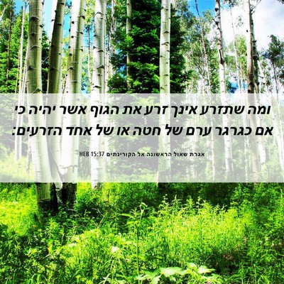 Picture 06 - אגרת שאול הראשונה אל הקורינתים 15:37 HEB - ומה שתזרע אינך זרע את הגוף - Bible Verse Picture