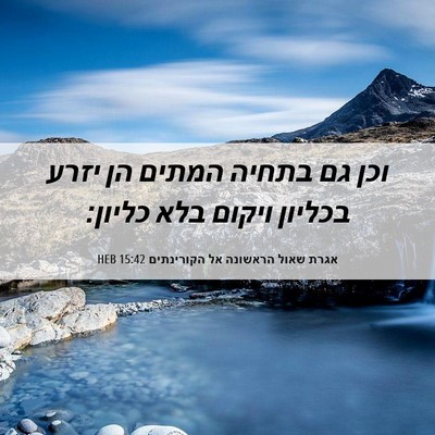 Picture 06 - אגרת שאול הראשונה אל הקורינתים 15:42 HEB - וכן גם בתחיה המתים הן יזרע - Bible Verse Picture