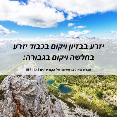 Picture 06 - אגרת שאול הראשונה אל הקורינתים 15:43 HEB - יזרע בבזיון ויקום בכבוד - Bible Verse Picture