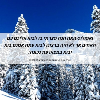 Picture 06 - אגרת שאול הראשונה אל הקורינתים 16:12 HEB - ואפולוס האח הנה פצרתי בו - Bible Verse Picture