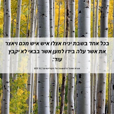 Picture 06 - אגרת שאול הראשונה אל הקורינתים 16:2 HEB - בכל אחד בשבת יניח אצלו איש - Bible Verse Picture