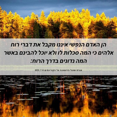 Picture 06 - אגרת שאול הראשונה אל הקורינתים 2:14 HEB - הן האדם הנפשי איננו מקבל את - Bible Verse Picture