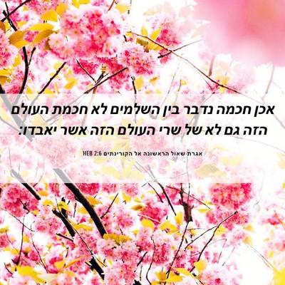Picture 06 - אגרת שאול הראשונה אל הקורינתים 2:6 HEB - אכן חכמה נדבר בין השלמים לא - Bible Verse Picture