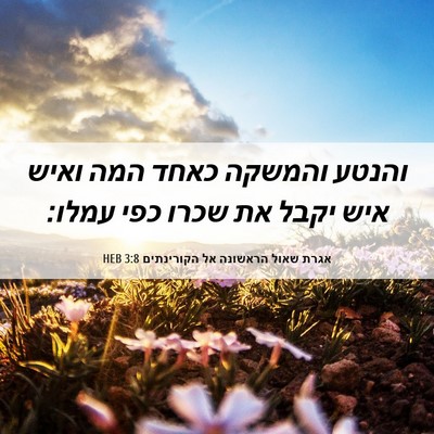 Picture 06 - אגרת שאול הראשונה אל הקורינתים 3:8 HEB - והנטע והמשקה כאחד המה ואיש - Bible Verse Picture