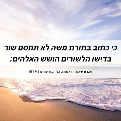Picture 06 - אגרת שאול הראשונה אל הקורינתים 9:9 HEB - כי כתוב בתורת משה לא תחסם - Bible Verse Picture