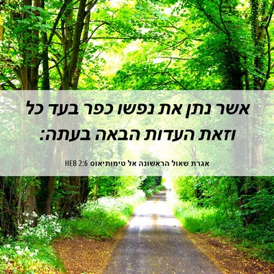 Picture 06 - אגרת שאול הראשונה אל טימותיאוס 2:6 HEB - אשר נתן את נפשו כפר בעד כל - Bible Verse Picture