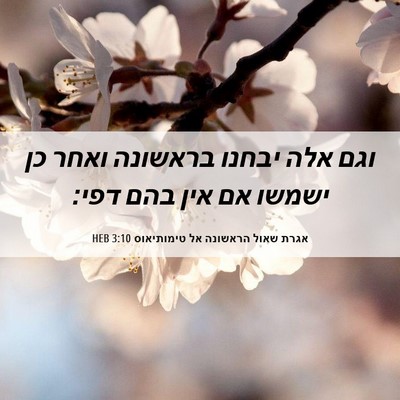 Picture 06 - אגרת שאול הראשונה אל טימותיאוס 3:10 HEB - וגם אלה יבחנו בראשונה ואחר - Bible Verse Picture