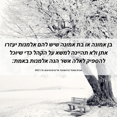 Picture 06 - אגרת שאול הראשונה אל טימותיאוס 5:16 HEB - בן אמונה או בת אמונה שיש - Bible Verse Picture
