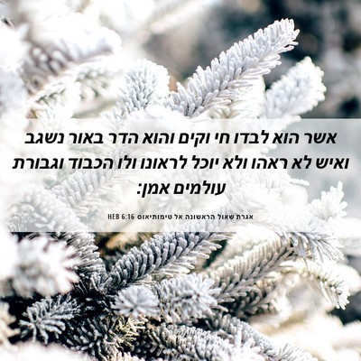 Picture 06 - אגרת שאול הראשונה אל טימותיאוס 6:16 HEB - אשר הוא לבדו חי וקים והוא - Bible Verse Picture