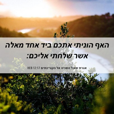 Picture 06 - אגרת שאול השניה אל הקורינתים 12:17 HEB - האף הוניתי אתכם ביד אחד - Bible Verse Picture