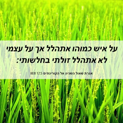 Picture 06 - אגרת שאול השניה אל הקורינתים 12:5 HEB - על איש כמוהו אתהלל אך על - Bible Verse Picture