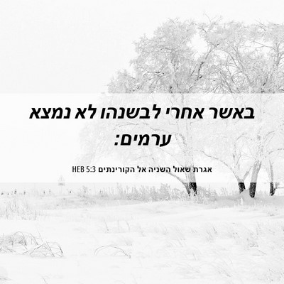 Picture 06 - אגרת שאול השניה אל הקורינתים 5:3 HEB - באשר אחרי לבשנהו לא נמצא - Bible Verse Picture