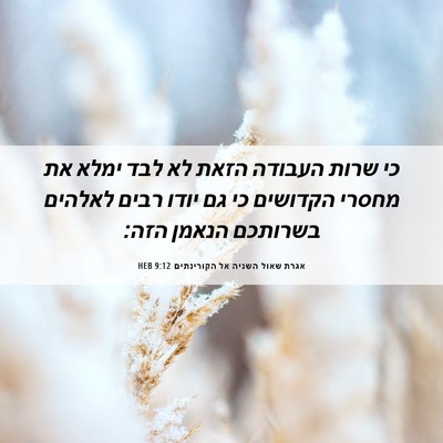 Picture 06 - אגרת שאול השניה אל הקורינתים 9:12 HEB - כי שרות העבודה הזאת לא לבד - Bible Verse Picture