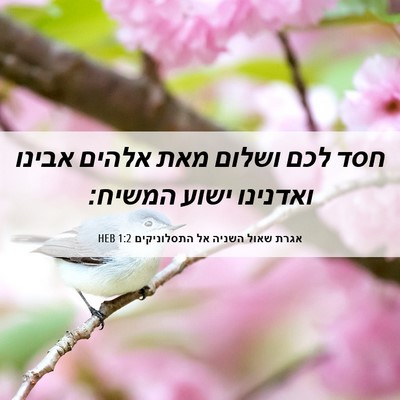 Picture 06 - אגרת שאול השניה אל התסלוניקים 1:2 HEB - חסד לכם ושלום מאת אלהים - Bible Verse Picture