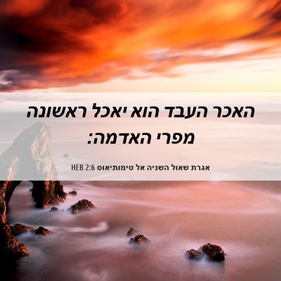 Picture 06 - אגרת שאול השניה אל טימותיאוס 2:6 HEB - האכר העבד הוא יאכל ראשונה - Bible Verse Picture