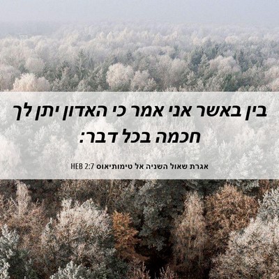Picture 06 - אגרת שאול השניה אל טימותיאוס 2:7 HEB - בין באשר אני אמר כי האדון - Bible Verse Picture