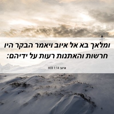 Picture 06 - איוב 1:14 HEB - ומלאך בא אל איוב ויאמר הבקר - Bible Verse Picture