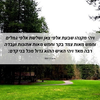 Picture 06 - איוב 1:3 HEB - ויהי מקנהו שבעת אלפי צאן - Bible Verse Picture
