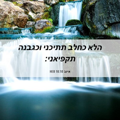 Picture 06 - איוב 10:10 HEB - הלא כחלב תתיכני וכגבנה - Bible Verse Picture