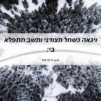 Picture 06 - איוב 10:16 HEB - ויגאה כשחל תצודני ותשב - Bible Verse Picture