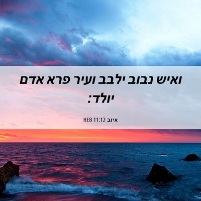 Picture 06 - איוב 11:12 HEB - ואיש נבוב ילבב ועיר פרא אדם - Bible Verse Picture