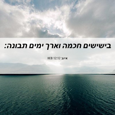 Picture 06 - איוב 12:12 HEB - בישישים חכמה וארך ימים - Bible Verse Picture