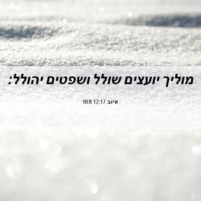 Picture 06 - איוב 12:17 HEB - מוליך יועצים שולל ושפטים - Bible Verse Picture