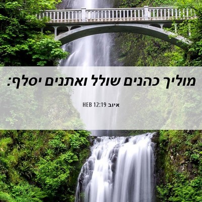 Picture 06 - איוב 12:19 HEB - מוליך כהנים שולל ואתנים - Bible Verse Picture