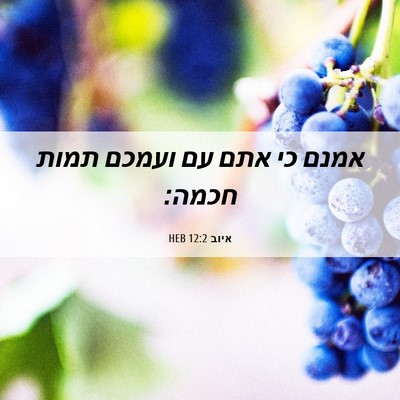 Picture 06 - איוב 12:2 HEB - אמנם כי אתם עם ועמכם תמות - Bible Verse Picture