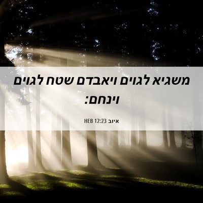 Picture 06 - איוב 12:23 HEB - משגיא לגוים ויאבדם שטח - Bible Verse Picture