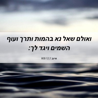 Picture 06 - איוב 12:7 HEB - ואולם שאל נא בהמות ותרך - Bible Verse Picture
