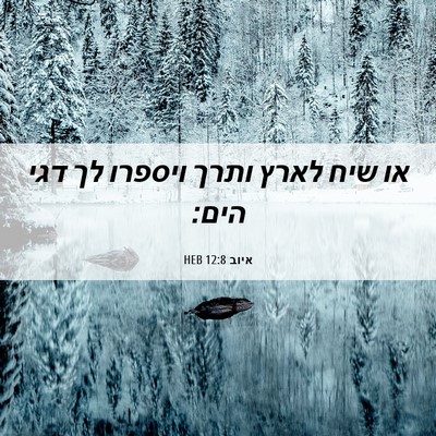 Picture 06 - איוב 12:8 HEB - או שיח לארץ ותרך ויספרו לך - Bible Verse Picture