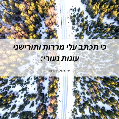 Picture 06 - איוב 13:26 HEB - כי תכתב עלי מררות ותורישני - Bible Verse Picture