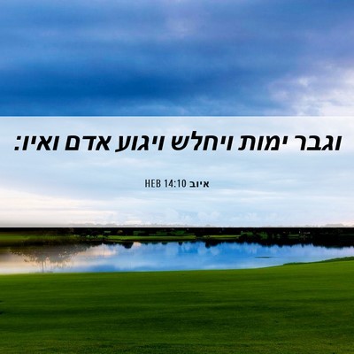 Picture 06 - איוב 14:10 HEB - וגבר ימות ויחלש ויגוע אדם - Bible Verse Picture
