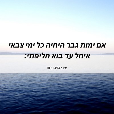 Picture 06 - איוב 14:14 HEB - אם ימות גבר היחיה כל ימי - Bible Verse Picture