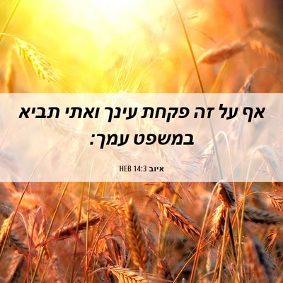 Picture 06 - איוב 14:3 HEB - אף על זה פקחת עינך ואתי - Bible Verse Picture