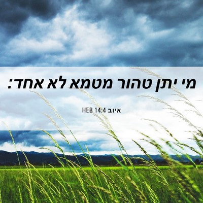 Picture 06 - איוב 14:4 HEB - מי יתן טהור מטמא לא - Bible Verse Picture