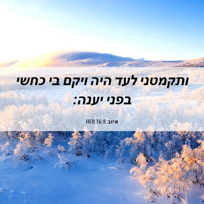 Picture 06 - איוב 16:8 HEB - ותקמטני לעד היה ויקם בי - Bible Verse Picture
