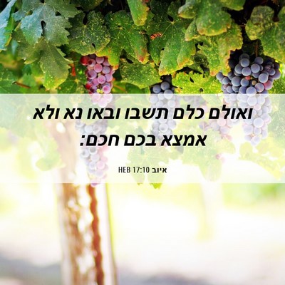 Picture 06 - איוב 17:10 HEB - ואולם כלם תשבו ובאו נא ולא - Bible Verse Picture