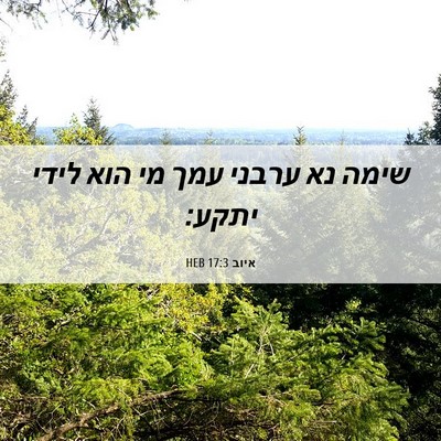 Picture 06 - איוב 17:3 HEB - שימה נא ערבני עמך מי הוא - Bible Verse Picture