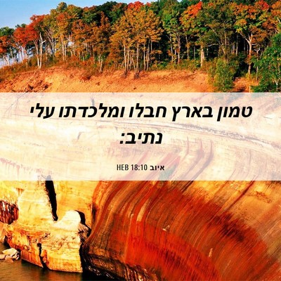 Picture 06 - איוב 18:10 HEB - טמון בארץ חבלו ומלכדתו עלי - Bible Verse Picture