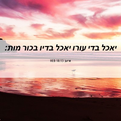 Picture 06 - איוב 18:13 HEB - יאכל בדי עורו יאכל בדיו - Bible Verse Picture