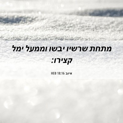 Picture 06 - איוב 18:16 HEB - מתחת שרשיו יבשו וממעל ימל - Bible Verse Picture