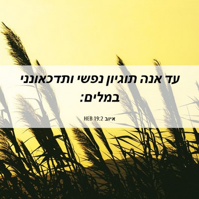 Picture 06 - איוב 19:2 HEB - עד אנה תוגיון נפשי - Bible Verse Picture