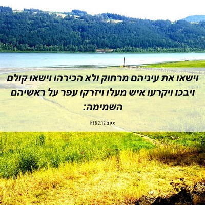 Picture 06 - איוב 2:12 HEB - וישאו את עיניהם מרחוק ולא - Bible Verse Picture