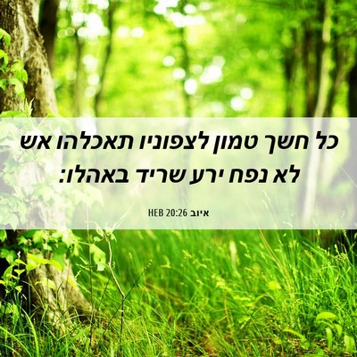 Picture 06 - איוב 20:26 HEB - כל חשך טמון לצפוניו תאכלהו - Bible Verse Picture